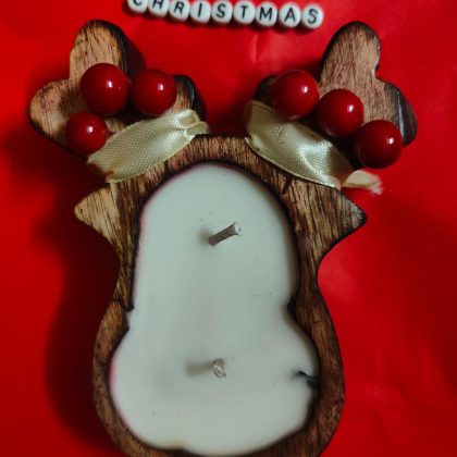 winter reindeer light 4